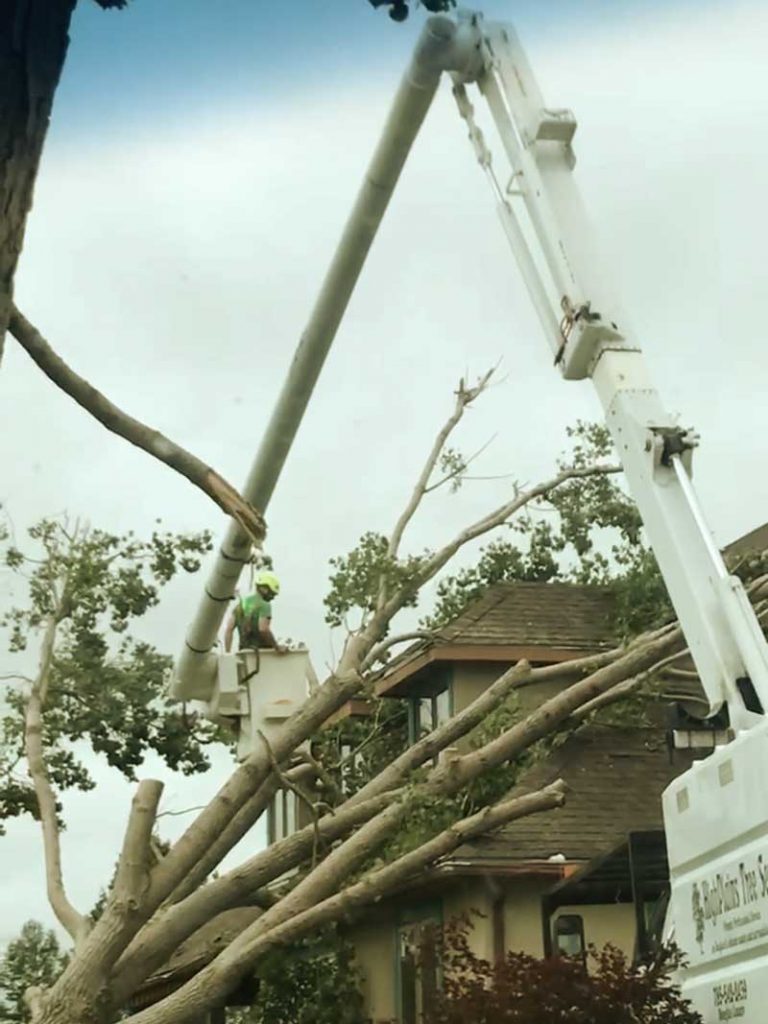 Using a lift bucket to remove fallen trees from a home’s roof after a storm